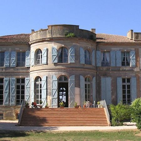 Chateau De Clermont-Saves Bed and Breakfast LʼIsle-Jourdain Buitenkant foto