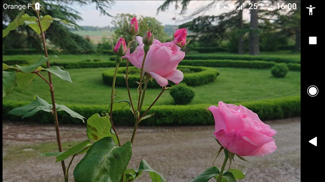 Chateau De Clermont-Saves Bed and Breakfast LʼIsle-Jourdain Buitenkant foto